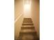 Carpeted stairway leading to the upper level at 2946 Plum Torte St, Las Vegas, NV 89122