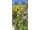 The property's garden includes a beautiful mix of yellow and purple flowers, contributing to the property's curb appeal at 5090 N David St, Pahrump, NV 89060