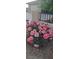The landscaping features a beautiful rose bush with pink blooms near the driveway, offering lovely curb appeal at 5090 N David St, Pahrump, NV 89060