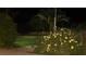 Night view of a yard with mature landscaping, including a palm tree and flowering bushes at 5090 N David St, Pahrump, NV 89060