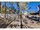 Spacious backyard with desert landscaping and a covered patio, perfect for entertaining guests at 7624 Nocturne Ct, Las Vegas, NV 89128
