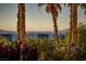 Scenic view through palm trees and desert landscape towards distant mountains and city skyline at 1219 Diamond Valley St, Henderson, NV 89052