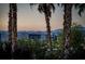 Scenic backyard view framed by palm trees, overlooking modern architecture and city lights at 1219 Diamond Valley St, Henderson, NV 89052