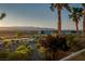 Beautiful backyard view with palm trees overlooking lush landscaping and the scenic mountains beyond at 1219 Diamond Valley St, Henderson, NV 89052