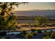 Scenic landscape featuring native plants, desert terrain and a distant view of the city and mountains at 1219 Diamond Valley St, Henderson, NV 89052