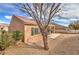 Backyard featuring a patio area, gravel landscaping, and a mature tree at 3305 Fernbird Ln, North Las Vegas, NV 89084