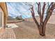 Backyard featuring a patio area, gravel landscaping, and a mature tree at 3305 Fernbird Ln, North Las Vegas, NV 89084