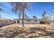 Large backyard with a mature tree, a well-maintained lawn, and a view of the home's back exterior at 2605 Amarillo St, Las Vegas, NV 89102