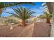 Backyard featuring a desert landscape, bird bath, mature palm trees, and privacy wall at 6870 Laronda Ln, Las Vegas, NV 89156