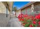 Landscaped courtyard featuring bright bougainvillea and a decorative shell chime at 6870 Laronda Ln, Las Vegas, NV 89156