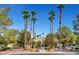 Inviting community clubhouse featuring desert landscaping and tall palm trees, set against a clear blue sky at 8440 Wandering Sun Ave, Las Vegas, NV 89129