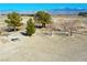 Spacious gravel backyard with mature trees, metal fence, and a picnic table, creating a serene outdoor gathering space at 3780 E Kellogg Rd, Pahrump, NV 89061