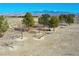 Expansive gravel backyard showcasing mature trees, metal fencing, and picnic tables providing an open and inviting outdoor area at 3780 E Kellogg Rd, Pahrump, NV 89061