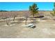Gravel backyard with mature trees, bordered by a metal fence, features a picnic table for outdoor enjoyment and gatherings at 3780 E Kellogg Rd, Pahrump, NV 89061