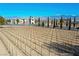 Picturesque aerial view of the vineyard, set against a backdrop of scenic mountains and a clear blue sky at 3780 E Kellogg Rd, Pahrump, NV 89061