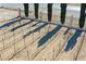 Aerial view of the vineyard rows, with a gated entrance and mature landscaping, creating an inviting ambiance at 3780 E Kellogg Rd, Pahrump, NV 89061