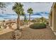 Scenic backyard with desert landscaping, palm trees, and shrubbery at 538 Cypress Gardens Pl, Henderson, NV 89012
