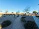 Gravel-covered common area, featuring trees and greenery, providing a peaceful spot for relaxation at 538 Ylang Pl, Henderson, NV 89015