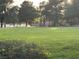 Community park featuring a grassy field, mature trees, playground, and picnic tables at 6165 Highland Gardens Dr, North Las Vegas, NV 89031