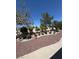 Expansive backyard with decorative rock, mature trees, rose bushes, and a vine-covered archway at 9704 Brawley Dr, Las Vegas, NV 89134
