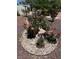 Beautiful flower bed with decorative rock and various blooming plants in the front yard at 9704 Brawley Dr, Las Vegas, NV 89134