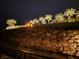 Palm trees illuminated at night lining a stone wall in the community at 9 Promenade Isle Ln, Henderson, NV 89011