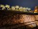 Palm trees illuminated at night lining a stone wall in the community at 9 Promenade Isle Ln, Henderson, NV 89011