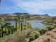 Beautiful lake view with palm trees and waterfront residences against a mountain backdrop at 9 Promenade Isle Ln, Henderson, NV 89011