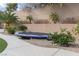 Beautifully landscaped backyard with desert foliage, palm trees and a trampoline at 23 Crescent Palm Ct, Henderson, NV 89002