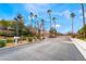 Gated community entrance featuring palm trees and landscaping, providing privacy and security for residents at 2407 Belt Buckley Dr, Henderson, NV 89002