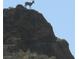 Majestic bighorn sheep perched atop a rocky mountain, showcasing the area's natural wildlife and rugged terrain at 26425 Park St, Nelson, NV 89005