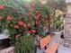 Charming garden area with a bench seat surrounded by vibrant flowers and plants at 6587 Lucky Boy Dr, Las Vegas, NV 89110