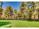 Well-manicured green space with trees offering shade and a multi-story building in the background at 220 E Flamingo Rd # 116, Las Vegas, NV 89169