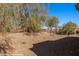 Large backyard with desert landscaping and mountain views at 1455 Waterfall Ln, Mesquite, NV 89034