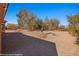 Expansive backyard with desert landscaping, mature trees, and a glimpse of the covered patio at 1455 Waterfall Ln, Mesquite, NV 89034