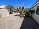 An outside storage shed is adjacent to desert plants creating a low maintenance xeriscaped backyard enclosed with privacy walls at 3118 Honeysuckle Ave, North Las Vegas, NV 89031