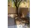 Backyard featuring a tree and a grill with pavers and dirt landscaping and fencing at 4039 Meadow Foxtail Dr, Las Vegas, NV 89122