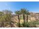 View of a beautifully manicured desert landscape with a backdrop of blue skies and mountain peaks at 75 Luce Del Sole # 3, Henderson, NV 89011