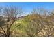 Desert landscape view from the property overlooking the golf course and mature trees at 75 Luce Del Sole # 3, Henderson, NV 89011