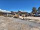 Fenced yard with metal shelving units containing discarded and salvaged items at 81 W Mesquite Ave, Pahrump, NV 89060