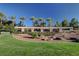 Beautifully landscaped green space with palm trees and a shaded pergola for relaxation at 2728 Goldcreek St, Henderson, NV 89052