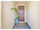 Close-up of front door area with decorative plant and a neutral-colored tiled entry at 746 Royal Course Ct, Las Vegas, NV 89148