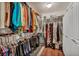 Walk-in closet featuring custom built-in shelving for optimal storage and organization at 1484 Midnight Cowboy Ct, Las Vegas, NV 89110