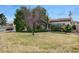 A single story home with a mature shade tree in the front yard at 343 W Basic Rd, Henderson, NV 89015