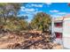 Backyard view of a gray apartment building surrounded by natural desert vegetation at 8600 W Charleston Blvd # 2108, Las Vegas, NV 89117
