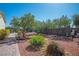 Spacious backyard featuring desert landscaping and a brick-paved walkway at , Las Vegas, NV 89131