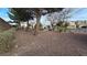 Spacious backyard with desert landscaping, plants and trees for a peaceful setting at 8824 Martin Downs Pl, Las Vegas, NV 89131