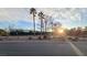 Tennis courts and palm trees at 8824 Martin Downs Pl, Las Vegas, NV 89131