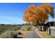 Scenic walking path lined with trees and fall foliage, perfect for a leisurely stroll at 271 Francisco St, Henderson, NV 89014