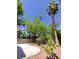 Lush backyard with mature trees and a curved concrete patio at 326 Lander Dr, Henderson, NV 89074